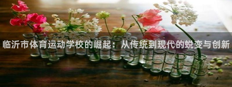 yy易游官网下载招商电话地址是多少：临沂市体育运动学