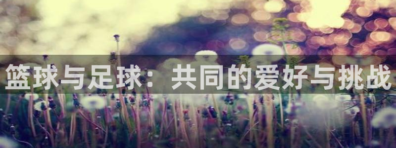 yy易游官方正版app娱乐首页网站大全：篮球与足球：
