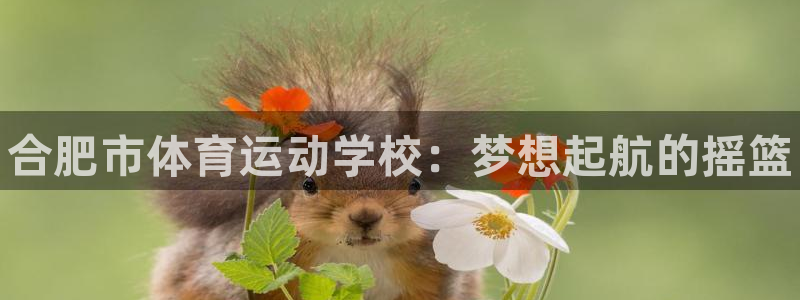 yy易游官方正版app集团官网首页网址：合肥市体育运