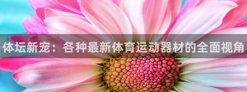 yy易游官方正版app集团简介：体坛新宠：各种最新体育运动器