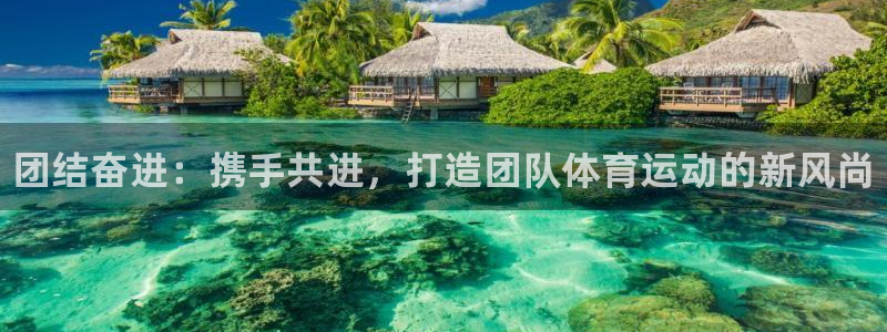 yy易游官方正版app娱乐：团结奋进：携手共进，打造