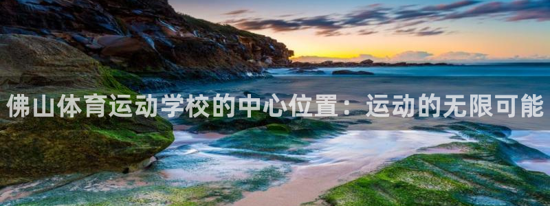 yy易游官方正版app娱乐平台：佛山体育运动学校的中心位置：