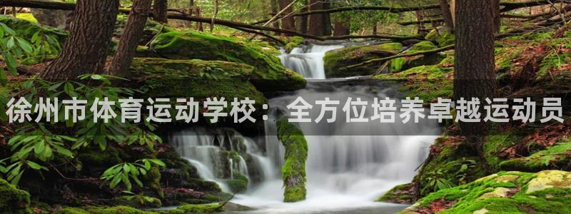 yy易游官网下载招商电话地址查询：徐州市体育运动学校