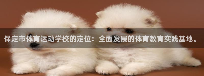 yy易游官方正版app娱乐是那个系列的台子：保定市体
