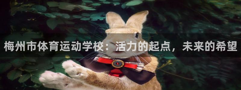 yy易游官方正版app娱乐40996：梅州市体育运动学校：活