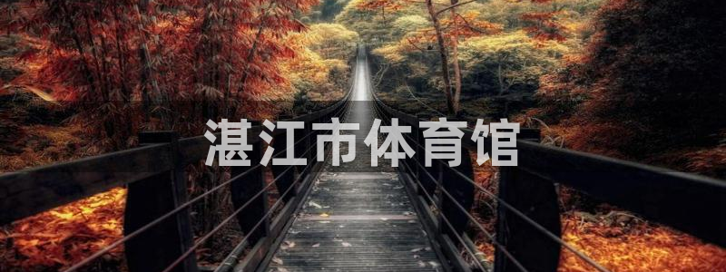 yy易游官方正版app集团：湛江市体育馆