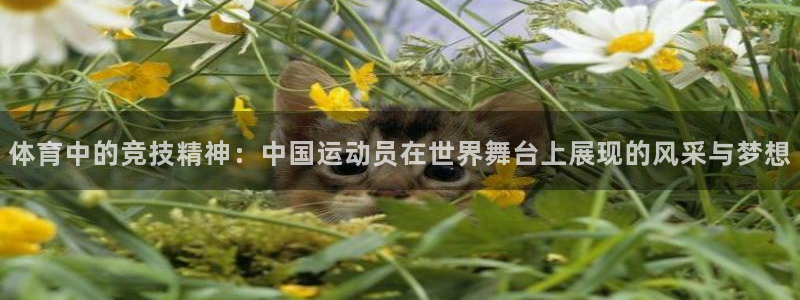 yy易游官方正版app官方