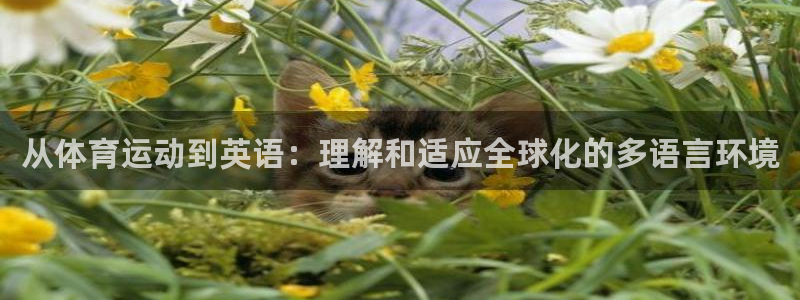 yy易游官方集团官网：从体育运动到英语：理解和适应全球化的多