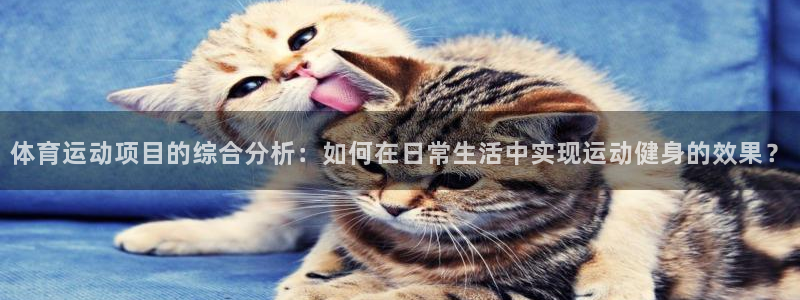 yy易游官方正版app神州：体育运动项目的综合分析：如何在日