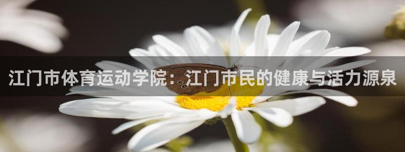 yy易游官网下载
