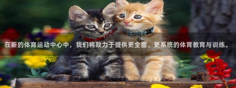 yy易游官方正版app娱乐平台