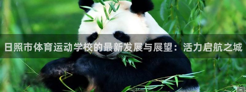 yy易游官网下载平台注册要钱吗安全吗：日照市体育运动学校的最