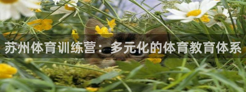 yy易游官网下载娱乐：苏州体育训练营：多元化的体育教育体系