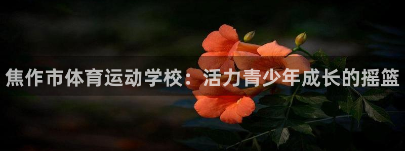 yy易游官网下载招商电话号码查询：焦作市体育运动学校：活力青