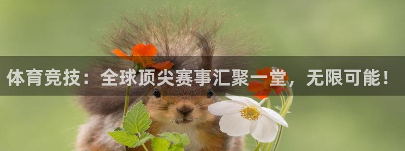 yy易游官方集团官网：体育竞技：全球顶尖赛事汇聚一堂，无限可