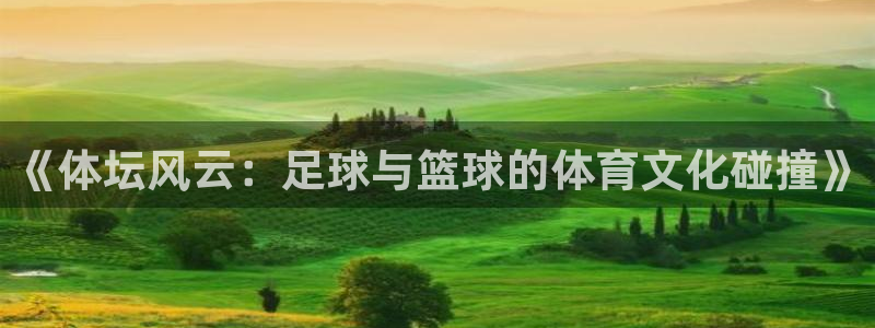 yy易游体育平台