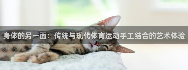 yy易游体育是正规的吗安全吗可靠吗：