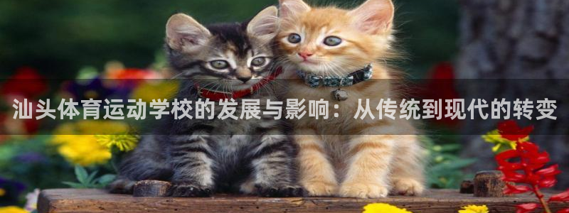 yy易游体育是正规的吗安全吗可靠吗：