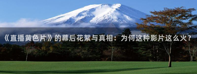 178足球直播免费高清在线：《直播黄色片》的幕后花絮与真相：为何这种影片这么火？