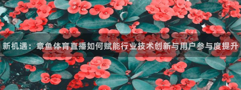 178足球直播高清直播：新机遇：章鱼体育直播如何赋能行业技术创新与用户参与度提升