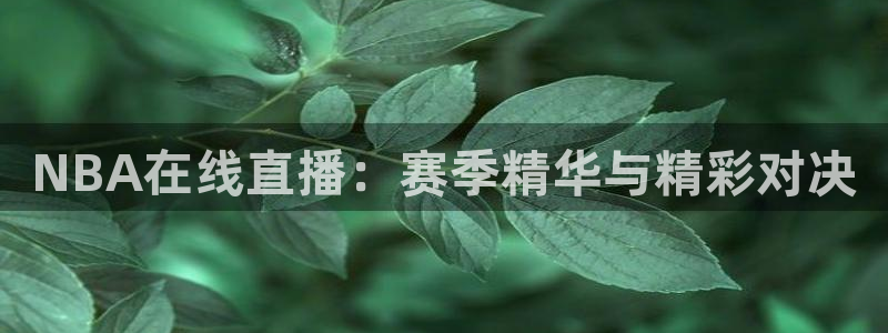 178体育篮球直播在线观看：NBA在线直播：赛季精华与精彩对决