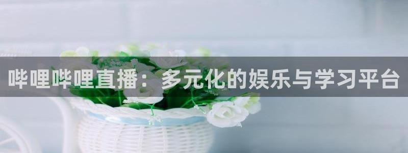 178在线体育直播：哔哩哔哩直播：多元化的娱乐与学习平台