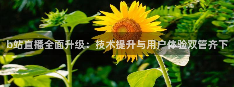 足球直播360高清直播178：b站直播全面升级：技术提升与用户体验双管齐下